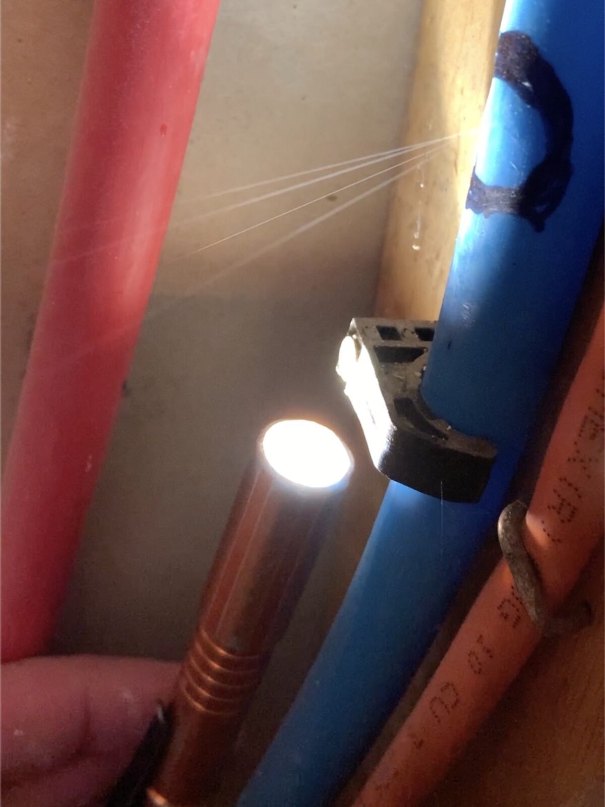 Unexpected Sensualsunshine Leak Causes Uproar - u0bnmlu